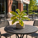 20" Outdoor UV-Proof Artificial Croton Plant -Yellow/Green (Pack of 4) - A184010