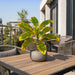 20" Outdoor UV-Proof Artificial Croton Plant -Yellow/Green (Pack of 4) - A184010