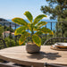 20" Outdoor UV-Proof Artificial Croton Plant -Yellow/Green (Pack of 4) - A184010