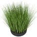 18.5" IFR PVC Onion Grass Artificial Plant w/Foam Base -Green (pack of 2) - A184750