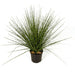 17" IFR PVC Zebra Onion Grass Artificial Plant w/Pot -Green/Yellow (pack of 6) - A184760