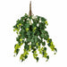 31" Outdoor UV-Proof Artificial Variegated English Ivy Hanging Plant -2 Tone Green (Pack of 4) - A186030