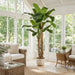 8' Soft-Touch Silk Banana Double Trunk Plant w/Pot -Green - A195960