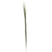 41" IFR PVC Onion Grass Artificial Stem -Green (pack of 24) - A216
