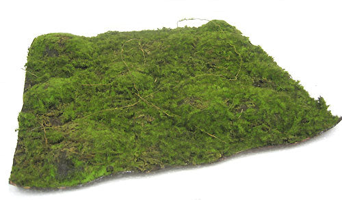 13.5"x13.5" Plastic Moss Artificial Mat -Green/Brown (pack of 4) - A5450