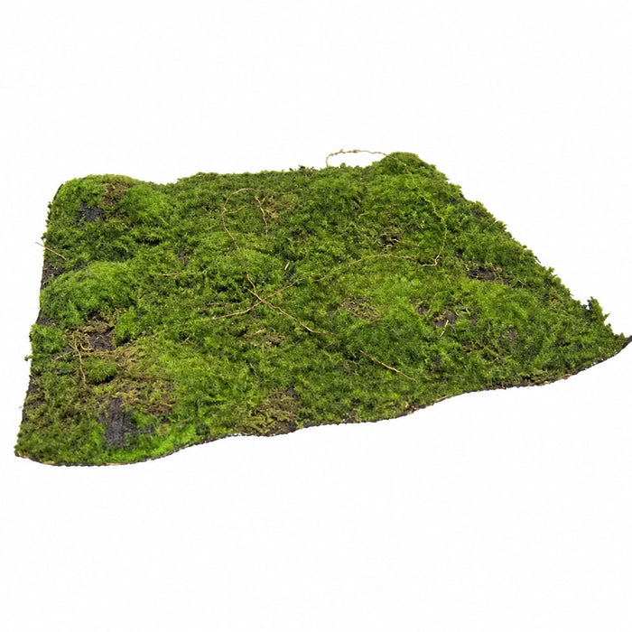 13.5"x13.5" Plastic Moss Artificial Mat -Green/Brown (Pack of 4) - A5450