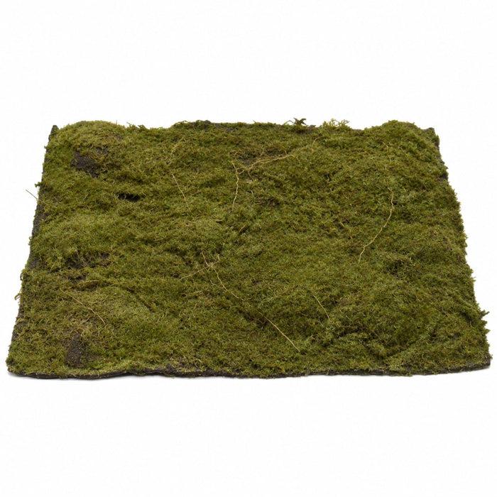 13.5"x13.5" Plastic Moss Artificial Mat -Green/Brown (Pack of 4) - A5450