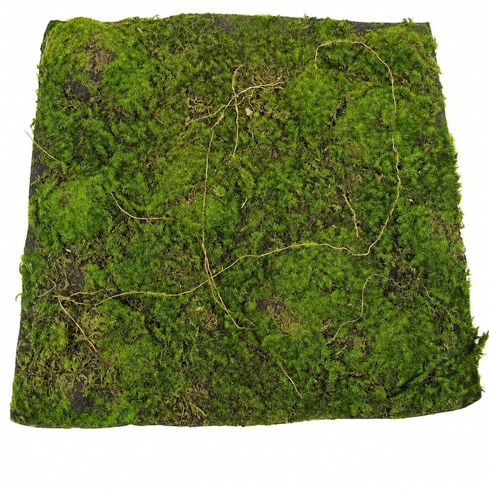 13.5"x13.5" Plastic Moss Artificial Mat -Green/Brown (Pack of 4) - A5450