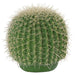 8" Plastic Barrel Cactus Artificial Stem w/Light Needles -Green (pack of 6) - A651