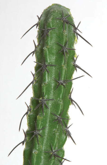 5' Plastic Finger Cactus Artificial Stem -Green (pack of 3) - A675