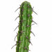 5' Plastic Finger Cactus Artificial Stem -Green (Pack of 3) - A675
