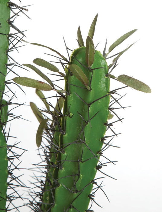 46" Plastic Finger Cactus Artificial Stem -Green (pack of 3) - A676