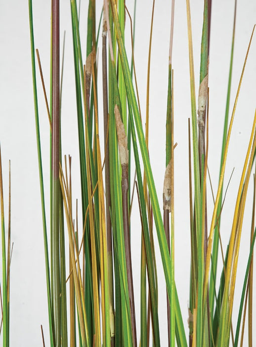 6' IFR PVC Onion Grass w/Equisetum Artificial Plant w/Pot -Green/Brown - A83820