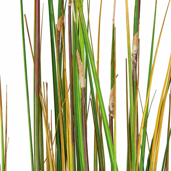 6' IFR PVC Onion Grass w/Equisetum Artificial Plant w/Pot -Green/Brown - A83820
