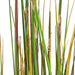 6' IFR PVC Onion Grass w/Equisetum Artificial Plant w/Pot -Green/Brown - A83820