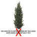 5' CUSTOM MADE UV-Proof Outdoor Artificial Podocarpus Plant -2 Tone Green - A9683
