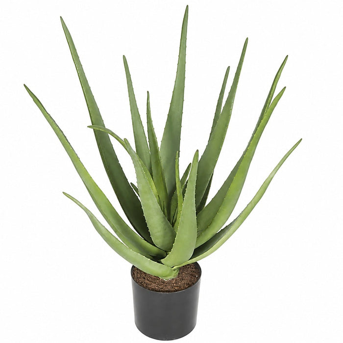 22" IFR Plastic Aloe Artificial Plant w/Pot -Green (Pack of 2) - AR102000