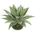 17" IFR Plastic Agave Artificial Plant w/Base -Green (pack of 2) - AR102180