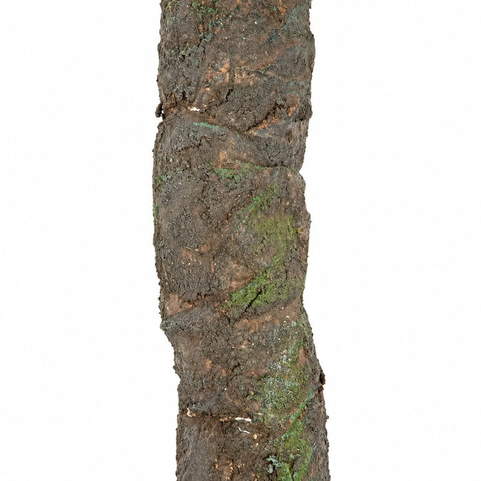7'x3" Artificial Jungle Vine -Brown/Green (Pack of 3) - A145250