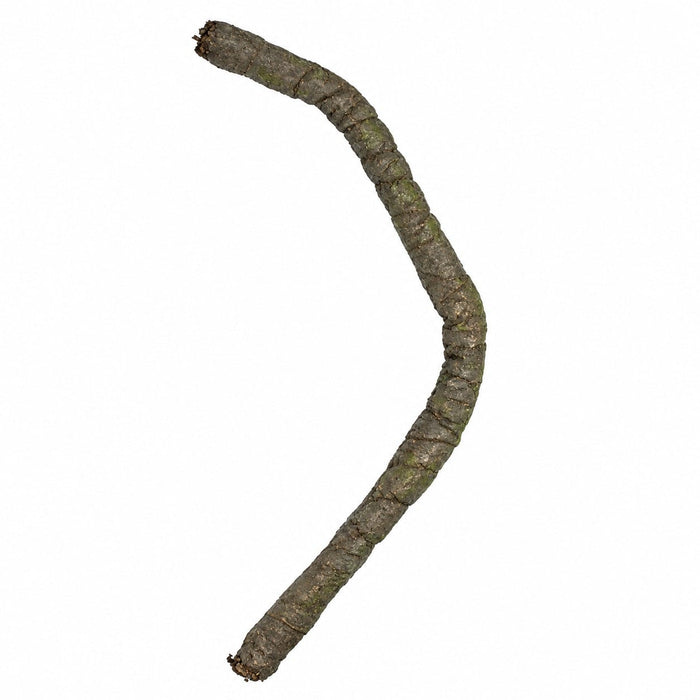 7'x3" Artificial Jungle Vine -Brown/Green (Pack of 3) - A145250