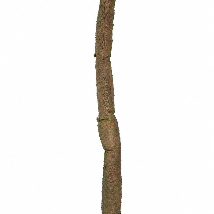 7'x1.5" IFR Artificial Jungle Vine -Brown/Green (Pack of 6) - AR145253