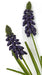 12.5" IFR Artificial Hyacinth Flower Bush -Purple (pack of 12) - AR160510