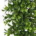6' Outdoor UV-Resistant Artificial Boxwood Garland -2 Tone Green (Pack of 6) - AUV143350