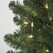 9'Hx61"W Winchester Pine LED-Lighted Artificial Christmas Tree w/Stand -Green - C0224
