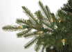 9'Hx70"W PE Elizabeth Pine LED-Lighted Artificial Christmas Tree w/Stand -Green - C120904