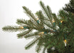 15'Hx92"W PE Elizabeth Pine LED-Lighted Artificial Christmas Tree w/Stand -Green - C120924