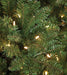 7'6"Hx57"W Fluff-Free Monroe Pine LED-Lighted Artificial Christmas Tree w/Stand -Green - C130364