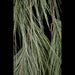 70" Artificial Frosted Long Needle Pine Teardrop Swag -Green/White (Pack of 6) - C131600
