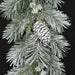 6'Lx12"W Flocked Long Leaf & Pinecone Artificial Garland -White/Green (pack of 2) - C160033