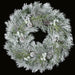 36" Artificial Flocked Longleaf, Pinecone & Silver Iced Twig Hanging Wreath -White/Green - C160036