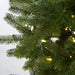 15'Hx70"W PE Douglas Fir LED-Lighted Artificial Christmas Tree w/Stand -Green - C171274