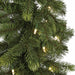 6'Lx12"W PE Artificial Mixed Fir Garland, LED Pre-Lit -Green - C171474