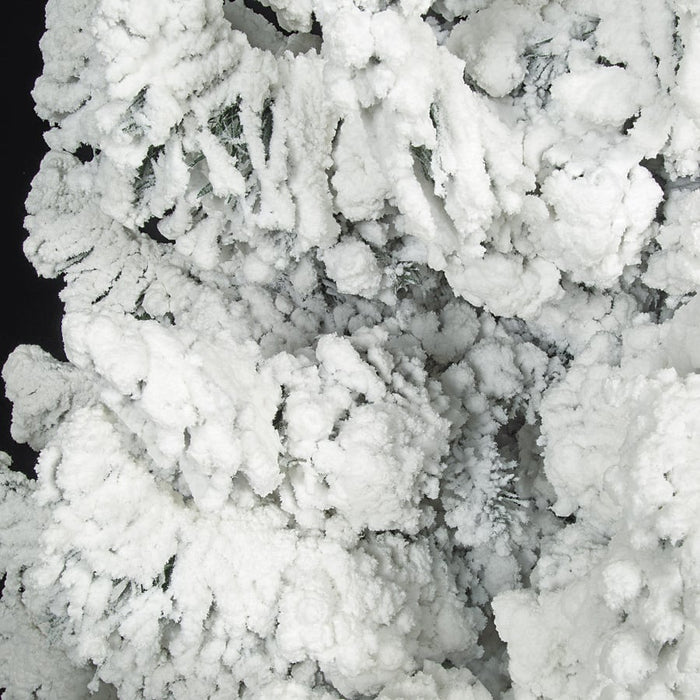 12'Hx94"W Heavy Flocked Blizzard Artificial Christmas Tree, Unlit -White/Green - C171920