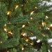 12'Hx80"W PE Asheville Spruce Artificial Christmas Tree, LED Pre-Lit -Green - C180584