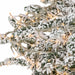 9'Hx61"W Flocked Polaris Artificial Christmas Tree, Micro LED Pre-Lit (Warm White, Multi-Mode) -White - C181014