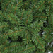 9'Hx76"W Fluff-Free Nikko Fir Artificial Christmas Tree, Unlit -Green - C9750