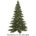 15'Hx122"W Fluff-Free Nikko Fir LED-Lighted Artificial Christmas Tree w/Stand -Green - C9764