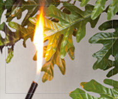 Flame applied to the IFR foliage sample