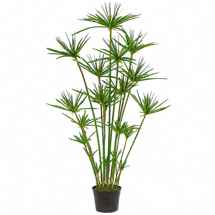 4' Papyrus Grass Silk Plant w/Pot -Green - P0290