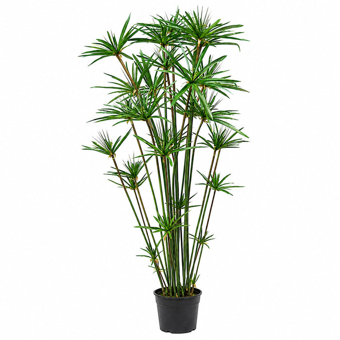 6' Papyrus Grass Silk Plant w/Pot -Green - P0291