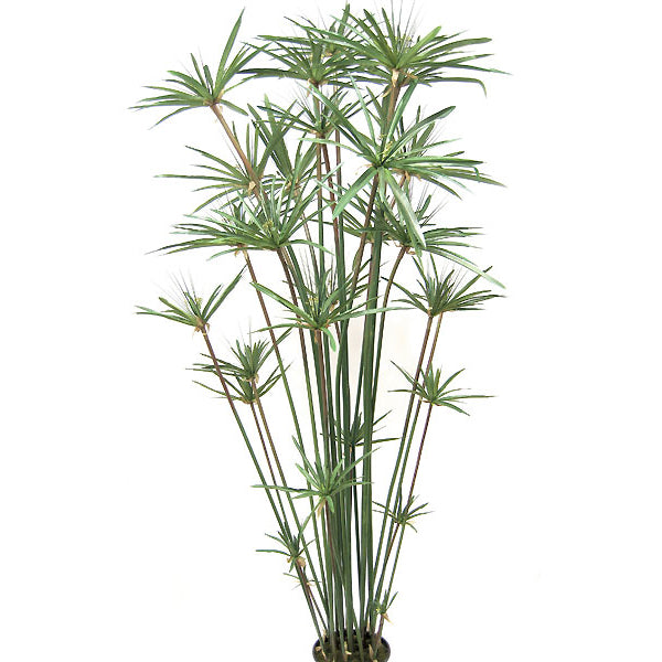 6' Papyrus Grass Silk Plant w/Pot Green Tropical Plants — Silks Are