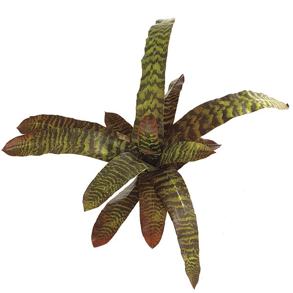 14" Artificial Real Touch Bromeliad Plant Flower Bush -Brown/Green (pack of 6) - P0490