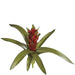 15" Artificial Real Touch Bromeliad Plant Flower Bush -Red (pack of 4) - P0655