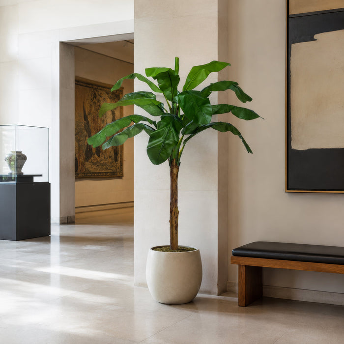 6' Banana Silk Plant -Green (Pack of 2) - P0770