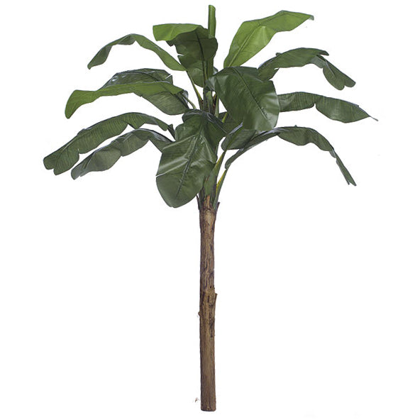 6' Banana Silk Palm Tree -Green (pack of 2) - P0770