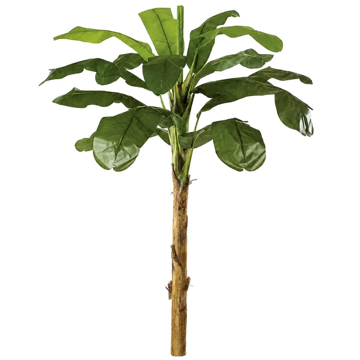 9' Banana Silk Plant -Green - P-0771